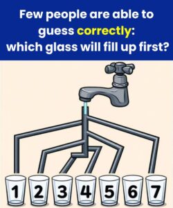 Puzzle: Which glass will be filled first? 7 glasses
