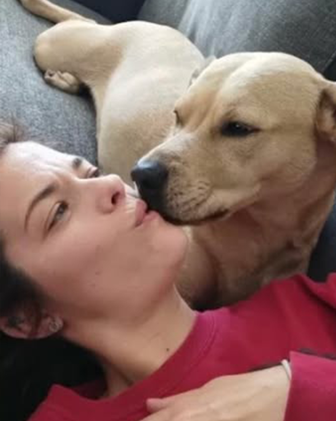 Expert says kissing dog on mouth can result in loss of limbs or death, pet owners willing to take the risk