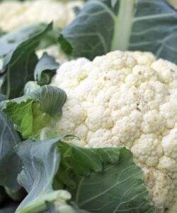 Who Should Be Careful When Eating Cauliflower?