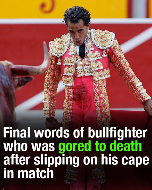 Bullfighter’s chilling final words before death