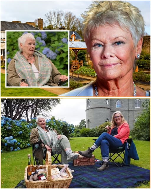A Quiet Moment: Dame Judi Dench’s Fragile Time and the Outpouring of Love from a Grateful Nation