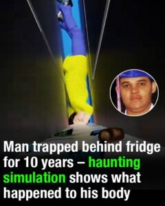 Man trapped behind fridge for 10 years – haunting simulation shows what happened to his body