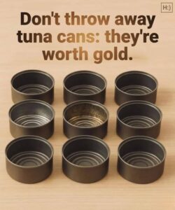 Don’t throw away your tuna cans, they’re worth their weight in gold at home: how to reuse them