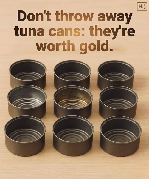 Don’t throw away your tuna cans, they’re worth their weight in gold at home: how to reuse them