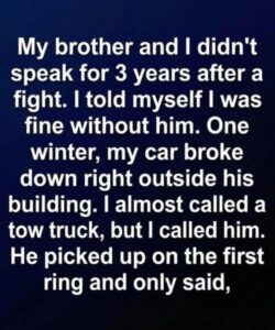 It all started with a stalled engine and three years of silence, ending on a winter night when the hallway finally closed for good.