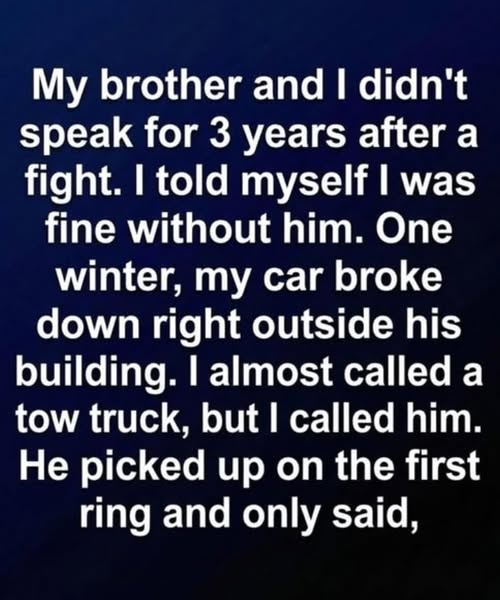 It all started with a stalled engine and three years of silence, ending on a winter night when the hallway finally closed for good.