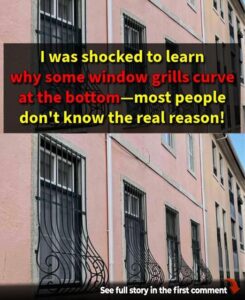 Why Do Some Window Grills Have Curves At The Bottom? The Answer Is Surprising