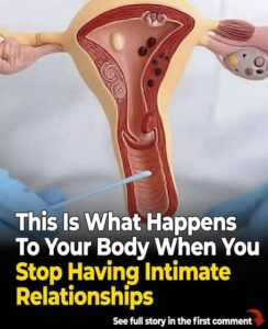 9 Things That Happen To Your Body When You Don’t Have Sex For A While