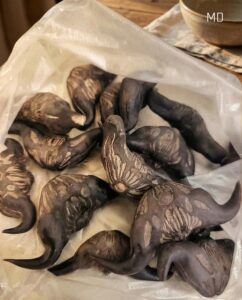 5 Important Warnings Before Eating Wild Roots from the Forest