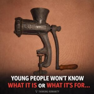 Can You Guess What These Vintage Objects Are?