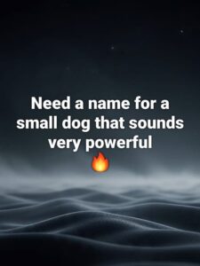 The Most Badass Dog Names For Your Tuff Pup