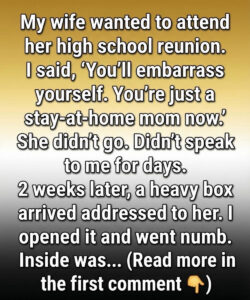 I called my wife “just a homemaker” for 10 years. Then a mysterious box arrived at our door, revealing the $500,000 secret she’d been hiding from me.