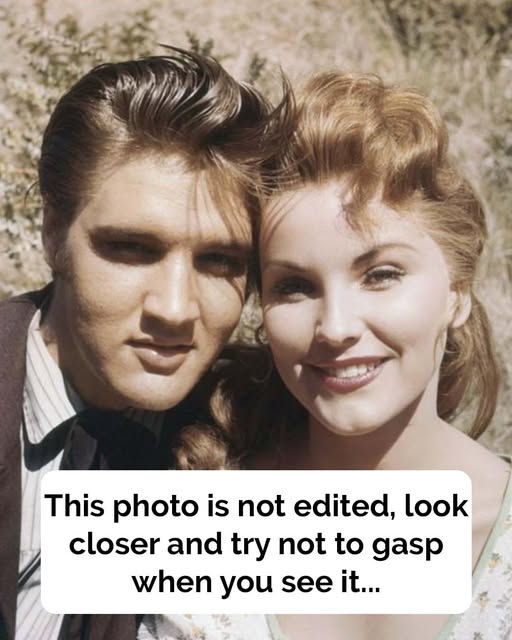 Love Me Tender facts: The Elvis detail you didn’t catch