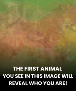 The first animal you see in this image will reveal the person you need in your life.