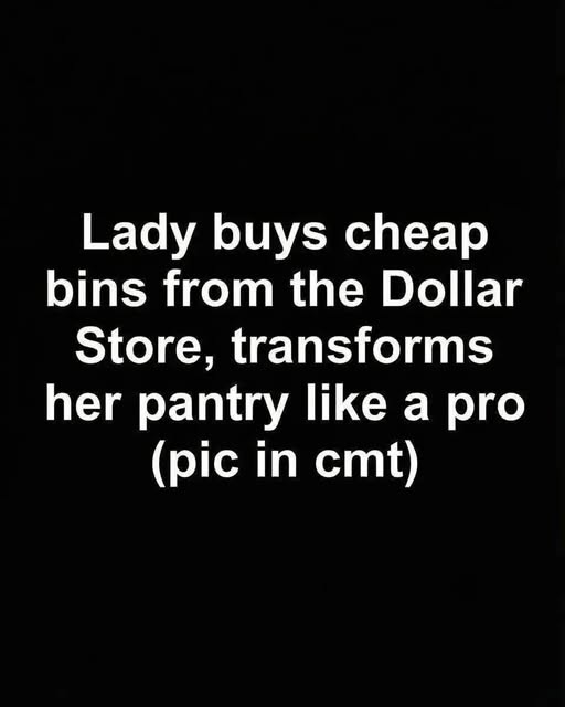 Budget-Friendly DIY Pantry Organization Using Dollar Store Bins as a Practical, Stylish, and Long-Term Solution for Creating a Calm, Efficient, and Visually Cohesive Kitchen Storage System Without High Costs or Professional Help