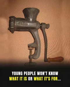 The mysterious metallic object that intrigued the Internet: do you know what it was used for?