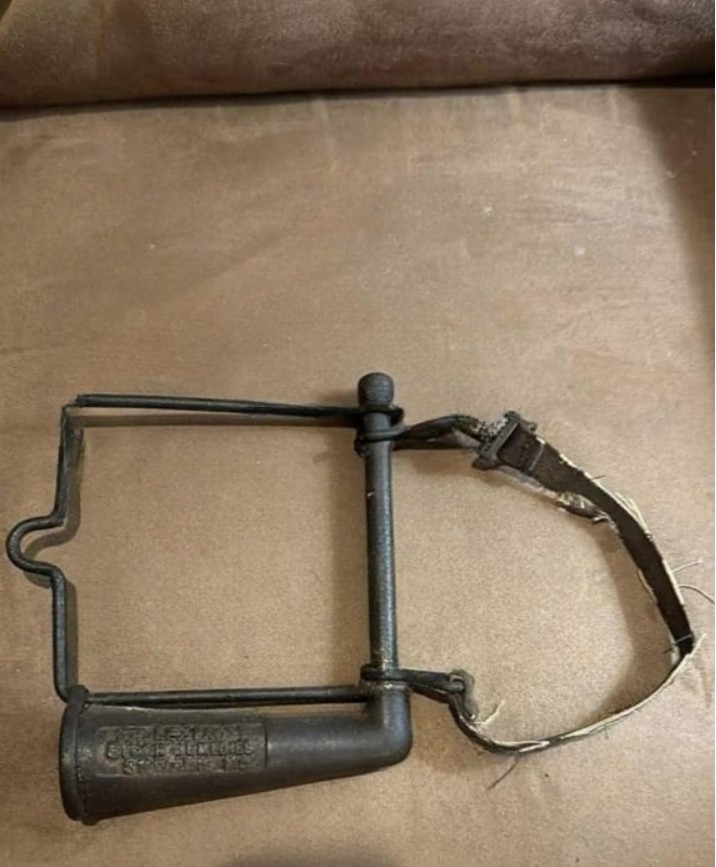 Can You Identify This Brass Beauty? The Untold Story Behind an Antique Horse Drencher and Its Place in Veterinary History