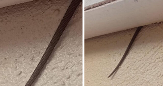 Online user finds creepy object hanging from ceiling Newsner» News» Online user finds creepy object hanging from ceiling