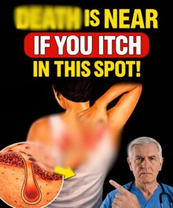 3 areas of the body with persistent itching that could be a wa:rning sign and should not be ignored.