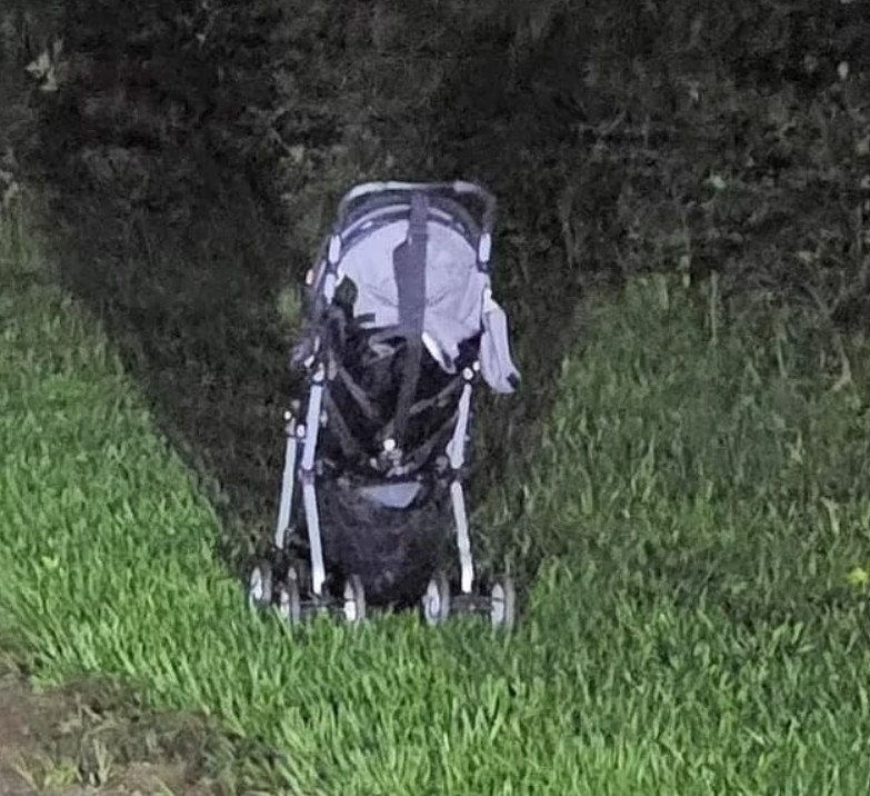 Woman's Warning After Finding a Stroller Abandoned on the Side of The Road