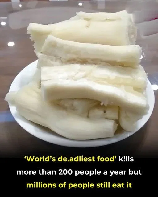 Despite causing hundreds of de.aths yearly, this food is still eaten by nearly 500 million people