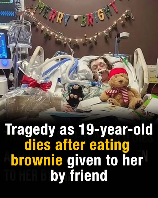 College student has fatal reaction to brownie she got from friend
