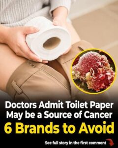 Hidden PFAS in toilet paper linked to cancer risk: 6 types to be aware of