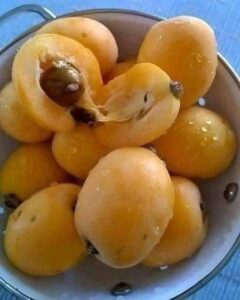 Traditional Apricot (Mishmish) Jam: Summer Preserved in a Jar