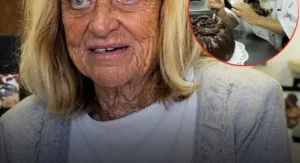 The Nervous System Benefits of Steady Daily Rhythms