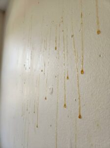 Yellow Drips on Bathroom Walls? Here’s What They Could Mean and How to Fix Them