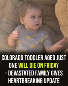 Family Shares Emotional Update as Colorado Toddler Remains on Life Support