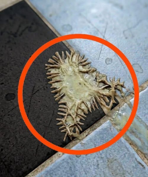 I found this in my girlfriend’s bathroom. We’ve been looking at it for an hour now and still can’t figure out what it is.