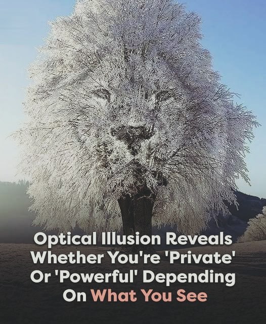 The First Thing You Notice May Reveal Something About Your Personality