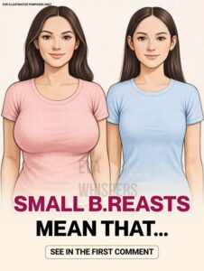 Most People Don’t Know This About Small Breasts (Science Explains Why)