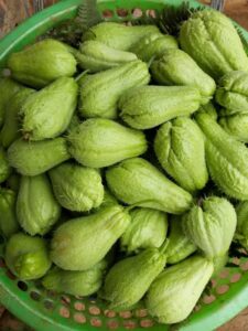 Doctors reveal that eating chayote causes ….