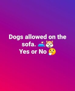 11 Signs Your Puppy Is In Control Of Your House