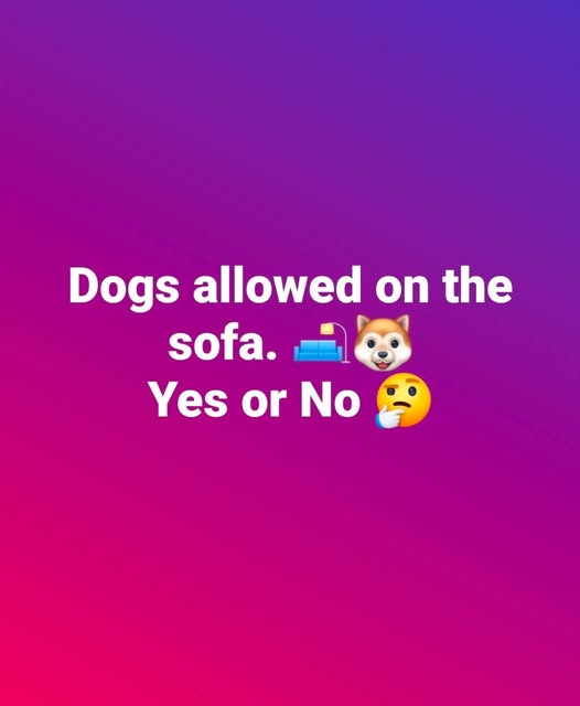 11 Signs Your Puppy Is In Control Of Your House