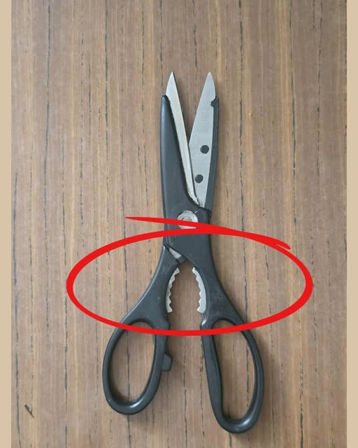 What Is That Weird Toothed Part on Kitchen Scissors For?  Posted onFebruary 24, 2026 ByadminNo Commentson What Is That Weird Toothed Part on Kitchen Scissors For?