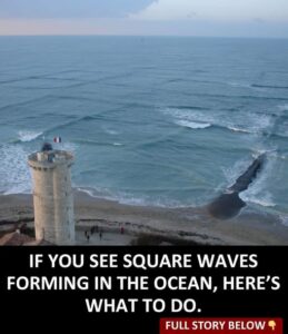 Here’s What To Do If You See Square Waves Forming In The Ocean