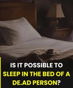 Sleeping in the bed of a deceased loved one: beliefs, emotions, and what it really means