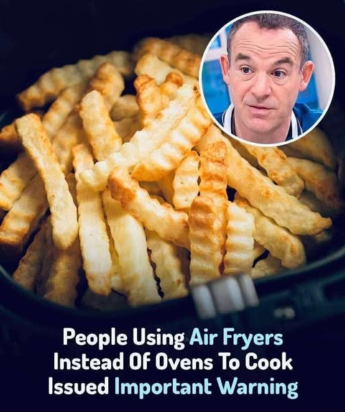 Experts caution against using air fryers instead of ovens