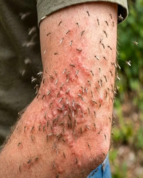 A few drops of this homemade tincture are all it takes to relax by the fireplace without having to cover your face all evening.