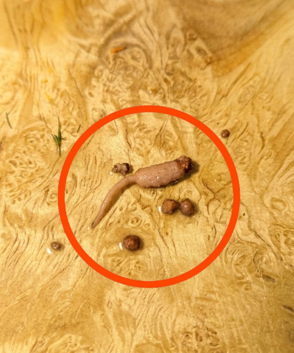 I was cooking ground beef and when I took it out of the pan, I noticed a strange object that didn’t look like beef.