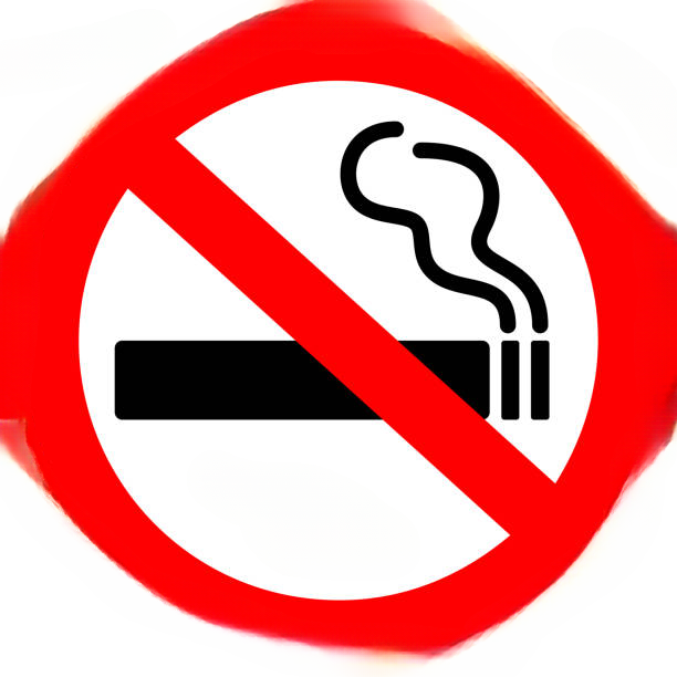 Why Cigarette Prices Continue to Rise in France: Taxes, Regulations, and Economic Factors Explained