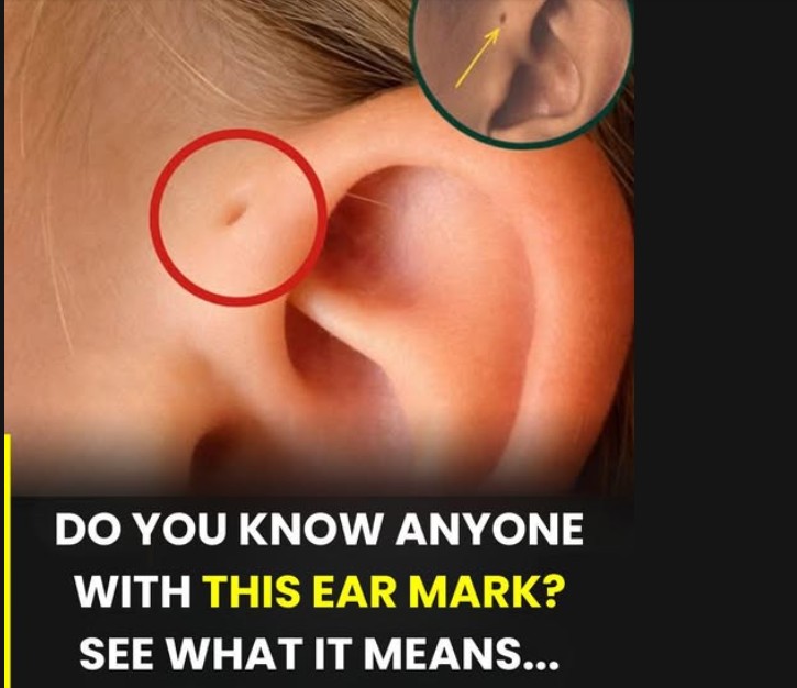 Discover the meaning of this particular mark on the ear.