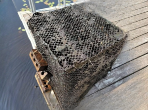 What Lies Beneath the Surface Will Blow Your Mind!