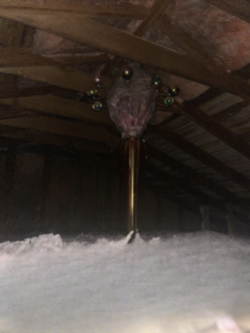 This Attic Discovery Seemed Creepy at First—But It Turned Into a Beautiful Memory