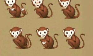 How Many Monkeys You Spot Could Reveal If You’re a Narcissist