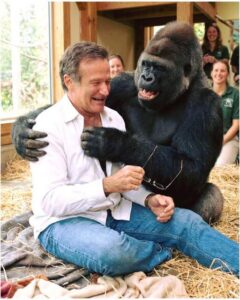 Robin Williams Makes Gorilla Laugh