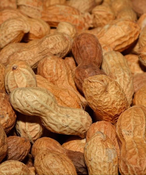 How peanuts can provide valuable nutrients in the diet of older adults